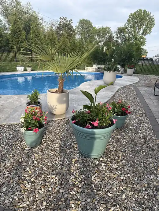 Potted palm and flowering planters on river-stone gravel beside a freeform pool with a stamped concrete edge